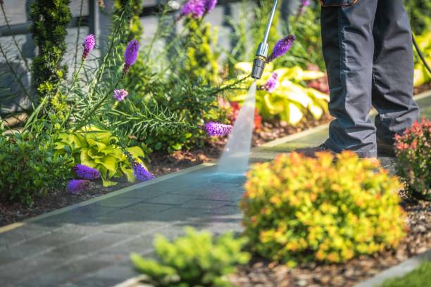 Best Boat and Dock Cleaning  in Pemberton Heights, NJ